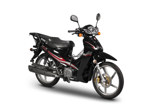 MOTORAN TORRO LX 100 CUP ARKA MAFSAL GRİ - 2