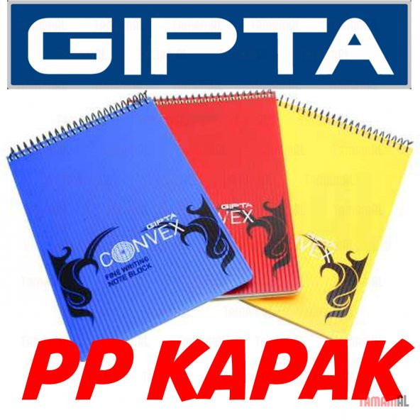 GIPTA A4 Dik Spiralli ÇİZGİLİ KARELİ PP KAPAK DEFTER (Bloknot) - 2
