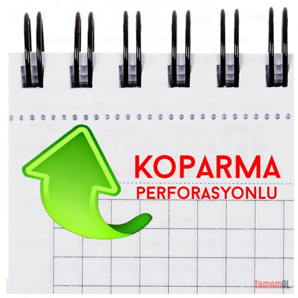 GIPTA A4 Dik Spiralli ÇİZGİLİ KARELİ PP KAPAK DEFTER (Bloknot) - 4
