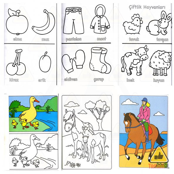 Benim Büyük Boyama Kitaplarım 5 Kitap Set (Örnekli) - 2