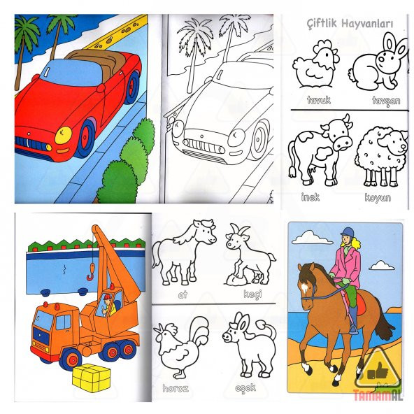 Benim Büyük Boyama Kitaplarım 5 Kitap Set (Örnekli) - 3