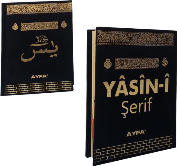 AYFA 195F KADİFE CİLTLİ CEP BOY ÜÇLÜ YASİN - 2