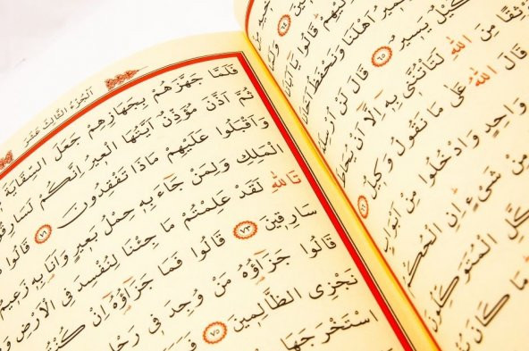 AYFA 061 MÜHÜRLÜ CAMİİ KEBİR KURAN 2 RENK - 3