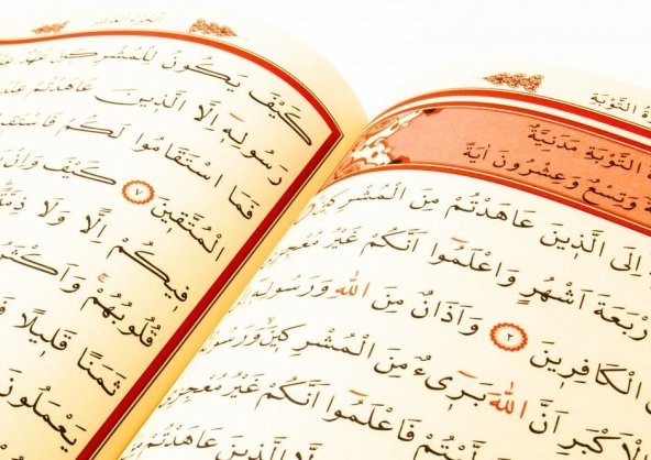 AYFA 061 MÜHÜRLÜ CAMİİ KEBİR KURAN 2 RENK - 2