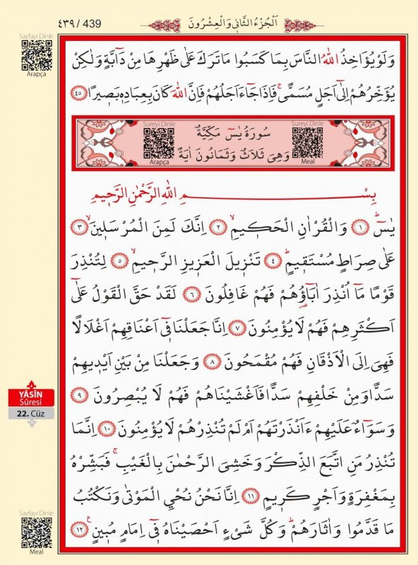 AYFA 059 MÜHÜRLÜ RAHLE KURAN 2 RENK - 2