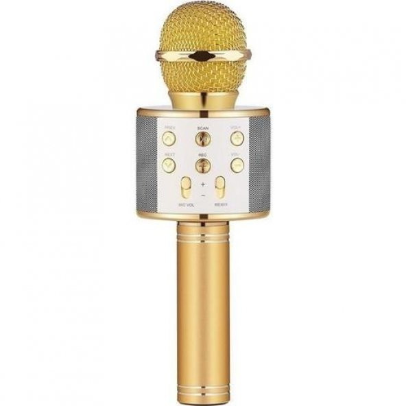 Sihirli Kareoke Mikrofon WS858 4 RENK