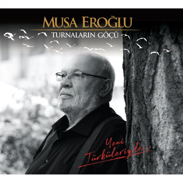 Musa Eroğlu-cd