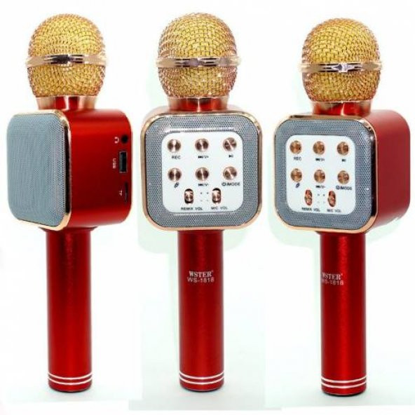 Karaoke Mikrofon Wster Ws-1818 Orjinal Bluetooth Usb-Fm-Micro SD - 3