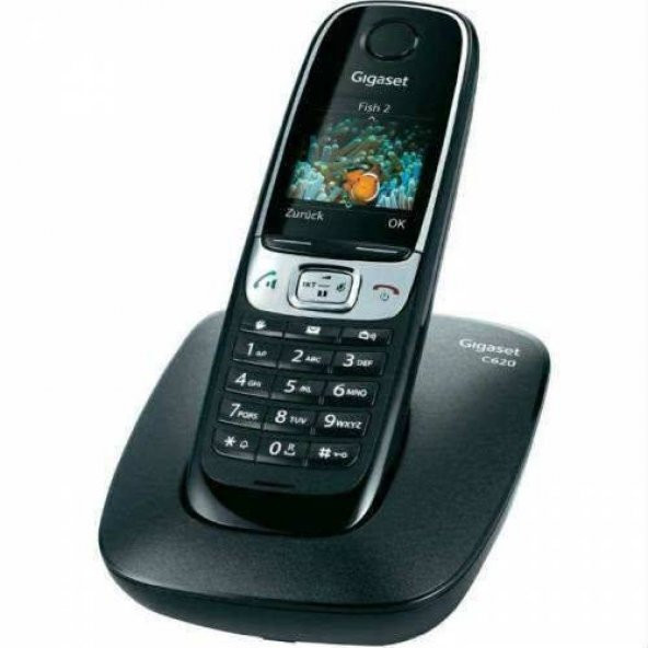 Gigaset C620 Renkli Ekran Dect Telefon