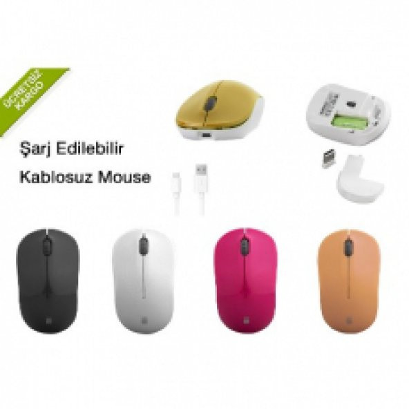 Everest SM-RC7 Usb  Şarj Edilebilir Kablosuz Mouse