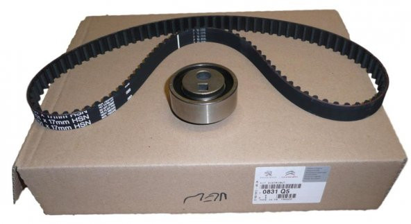 TRIGER SETI PEUGEOT (1.6 TU5JP) 106+206+ PARTNER+BERLİNG  0831.Q5