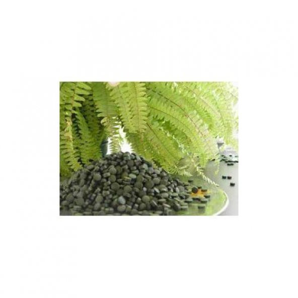SPİRULİNA TOZ %100 SAF 10 Gr - 2