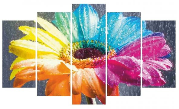 Renkli Çiçek 5 Parçalı MDF Tablo