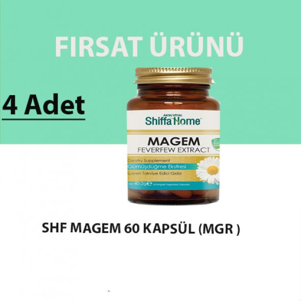 Shiffa Home Magem Migren Kapsül (4 Adet)