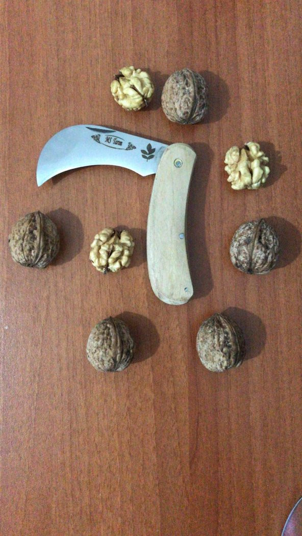 AŞI BIÇAĞI CEVİZ ELMA ÜZÜM MS2
