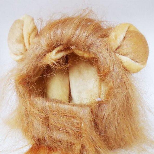 Kedi Aslan Yelesi Peruk - 5