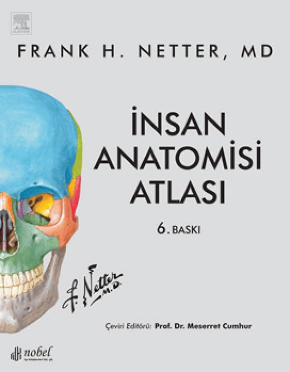 Netter İnsan Anatomisi Atlası