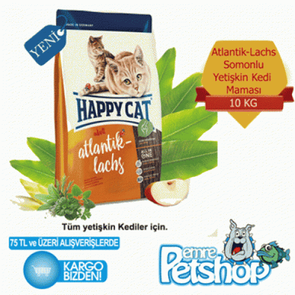 Happy Cat Atlantik Lachs Somonlu Kedi Mamasi 4 kg