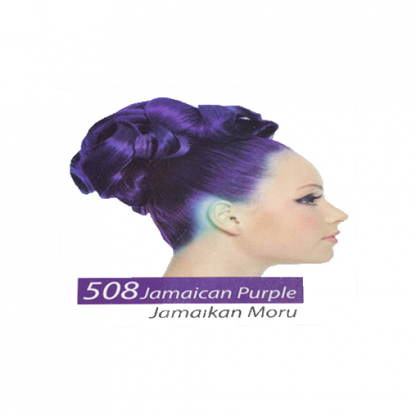 Jamaican Jeans Color Saç Boyası 250 ml. - 10