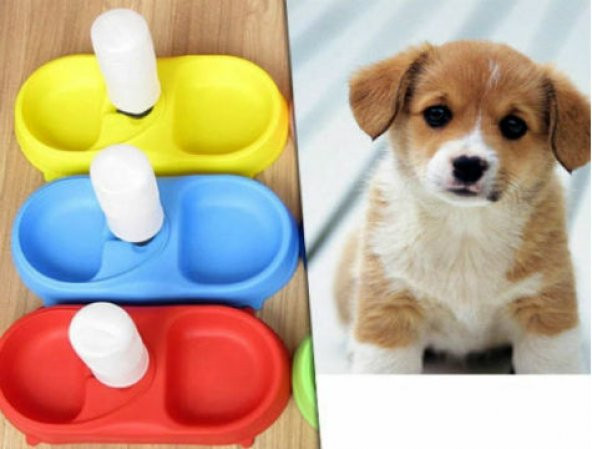 FinePet Kedi ve Köpek İçin Otomatik Su ve Mama Kabı - 4