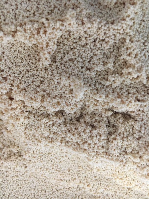 Nitrat Tutucu & Akvaryum Berraklaştırıcı (500 ml-350 gr)