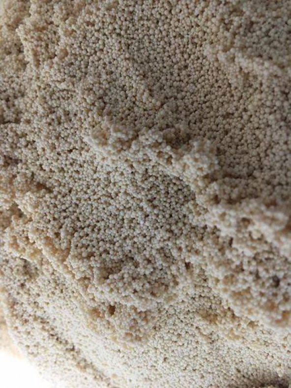 Nitrat Tutucu & Akvaryum Berraklaştırıcı (1000 ml - 700 gr) - 2