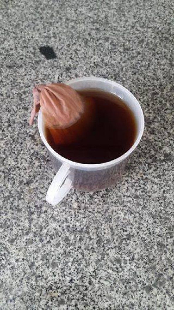 Nitrat Tutucu & Akvaryum Berraklaştırıcı (1000 ml - 700 gr) - 3