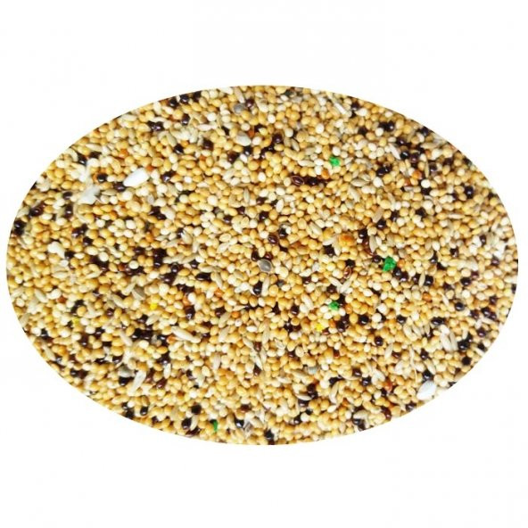 Quik Muhabbet Kuşu Yemi 400 gr 10'lu - 5