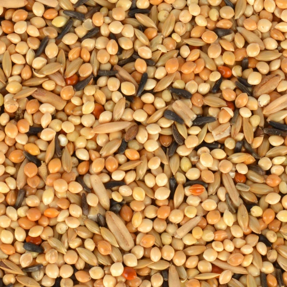 Jungle Yavru Kuş Yemi 400 gr 6'lı - 6