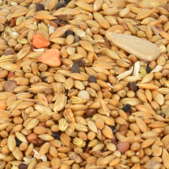 Gold Wings Kanarya Kondisyon-Öttürücü Yem 150g 12'li - 6