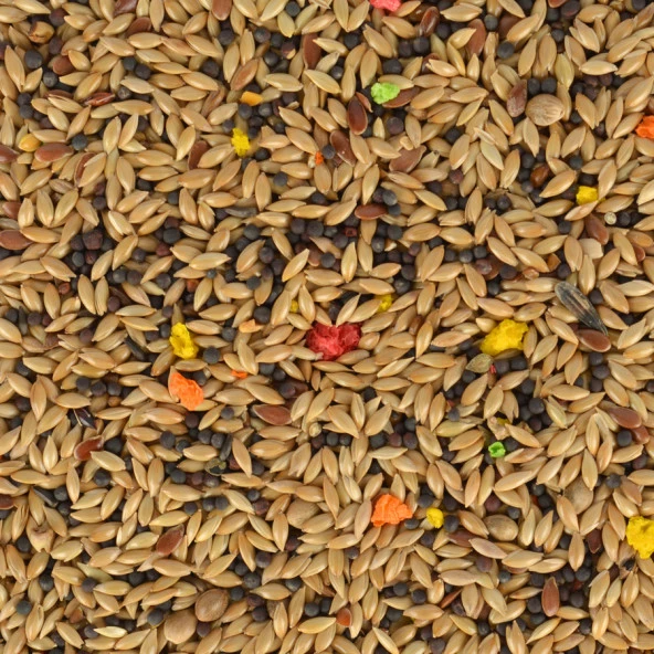 Quik Kanarya Yemi 500 gr 8'li - 11