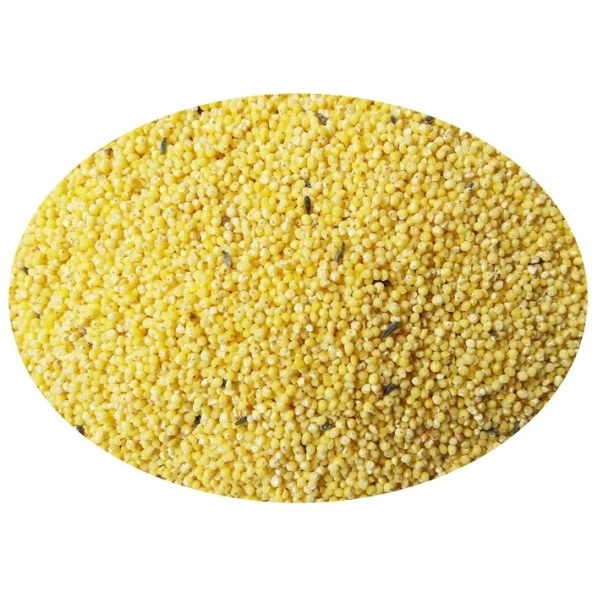 Quik Special Kabuksuz Kuş Yemi 400gr 8'li - 5