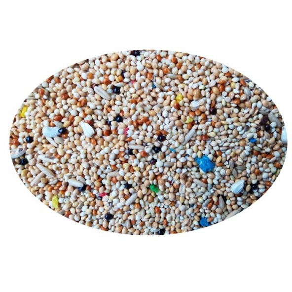 Quik Konuşturucu Yem 150 gr 12'li - 4