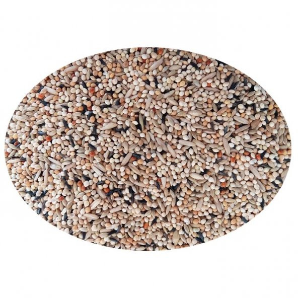 Quik Junior Yavru Muhabbet Kuşu Yemi 400gr 12'li - 5