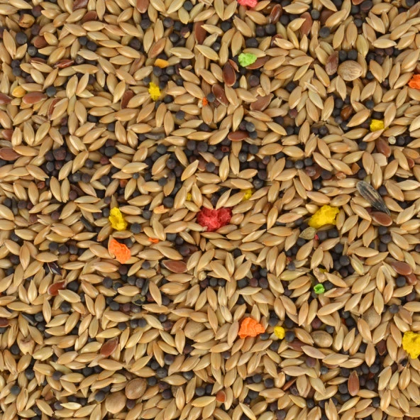 Jungle Kanarya Yemi 400 gr 8'li - 5