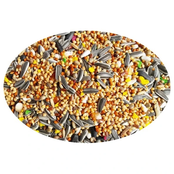 Quik Paraket Yemi 750 gr 6'lı - 7