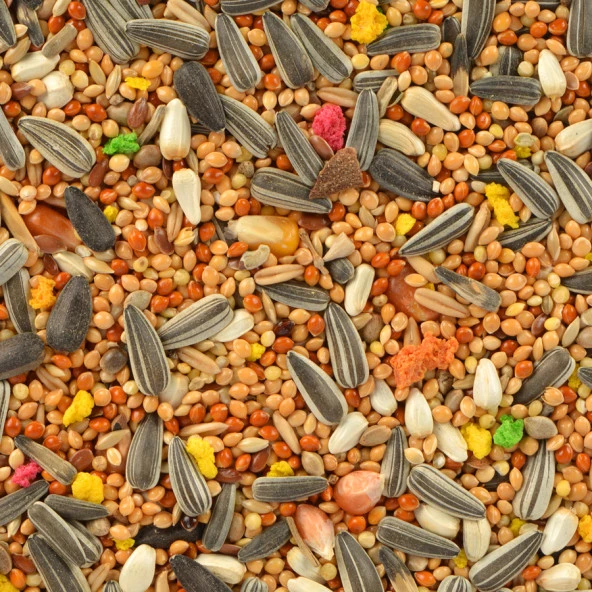 Quik Paraket Yemi 750 gr 6'lı - 9