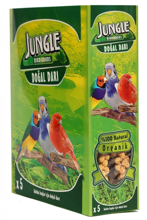 Jungle Doğal Dal Darı 10 Adet - 3