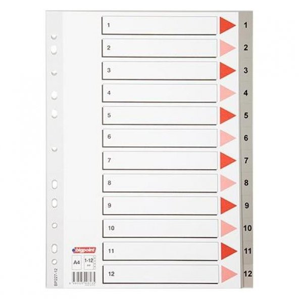 BIGPOINT SEPERATOR  PLASTIK A4 12 RENK (BP228-12) - 2