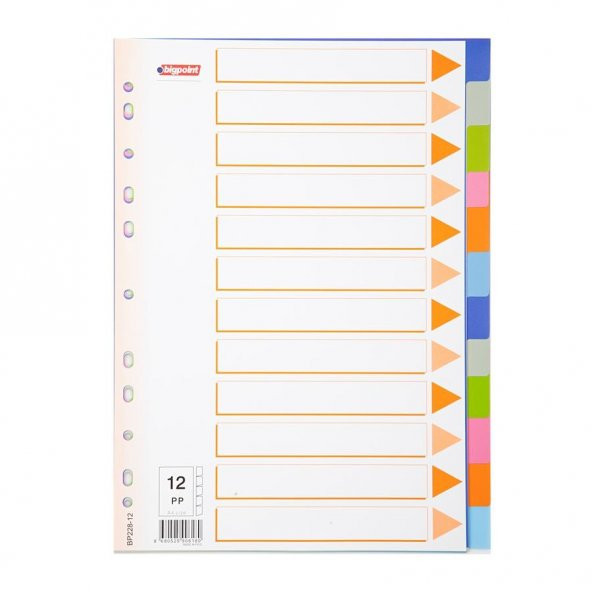 BIGPOINT SEPERATOR  PLASTIK A4 12 RENK (BP228-12) - 3