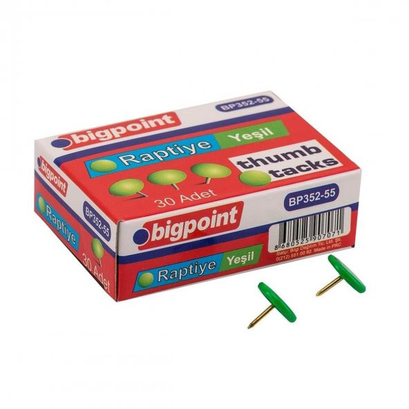 BIGPOINT RAPTIYE YESIL (352) - 2