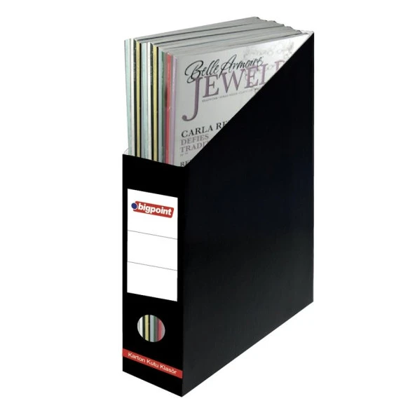 BIGPOINT MAGAZINLIK KARTON SIYAH 6 LI (BP120-95) - 2