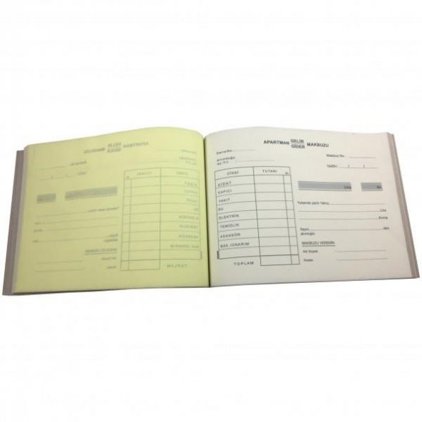 DILMAN APARTMAN GELIR GIDER MAKBUZU 2 NUSHA 14X20 - 4
