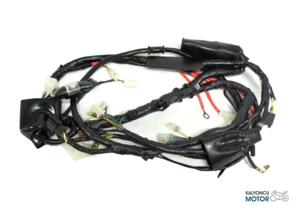 Honda CBF 150 Elektrik Tesisatı (Yeni Model) - 1