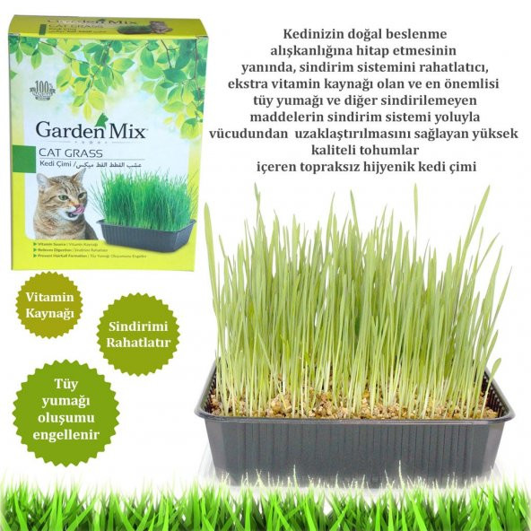 GARDENMİX KEDİ ÇİMİ