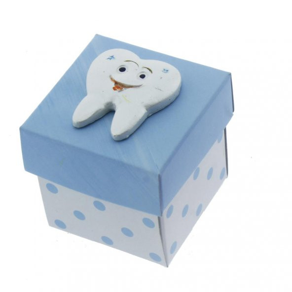 12 Adet 5x5cm Kutu Diş Biblolu Diş Buğdayı - 3