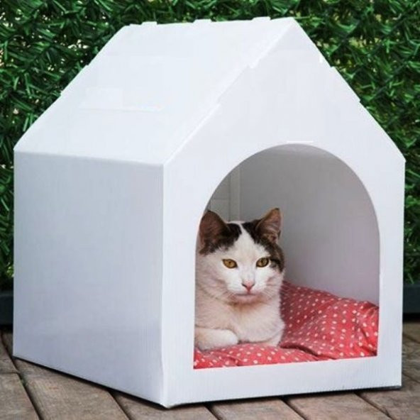 Maskot Kedi Evi - Küçük Boy-Beyaz Renkte