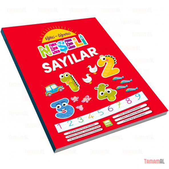 ÖĞRETİCİ NEŞELİ KİTAPLAR ÇİZGİLER HARFLER SAYILAR ETKİNLİKLER MAT - Resim 4