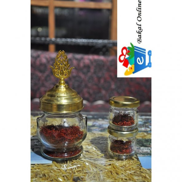 SAFRAN BİTKİSİ (10 GRAM) - 2