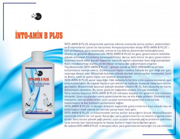 Into Amin B Plus Complex Güvercin Vitamini 500Ml - 2